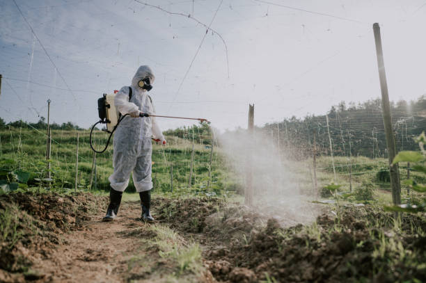 Best Best Pest Control Companies  in Farmersburg, IN