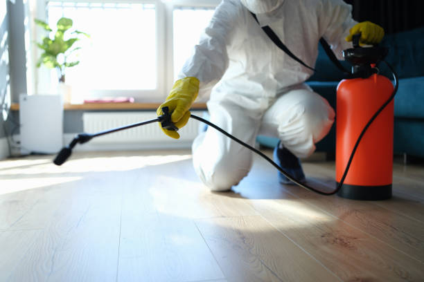 Best Wasp Removal Services  in Farmersburg, IN