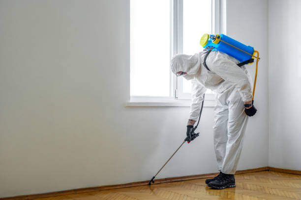 Professional Pest Control in Farmersburg, IN
