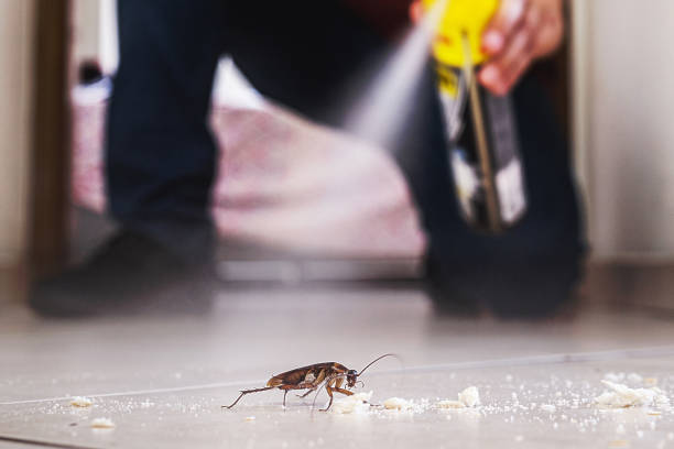 Trusted Farmersburg, IN Pest Control Experts