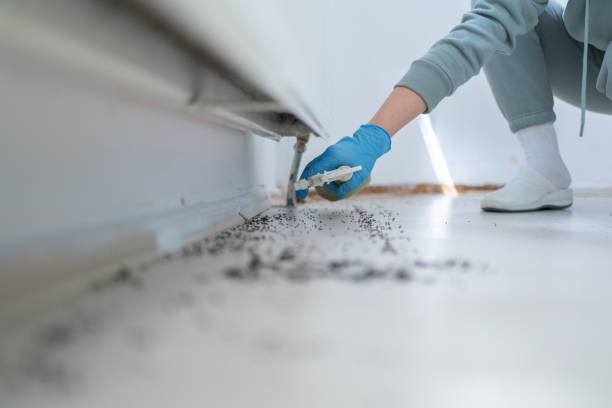 Best Exterminator Services  in Farmersburg, IN